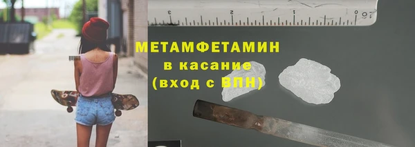 прущие грибы Зеленокумск
