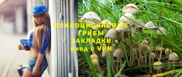 спиды Зеленодольск