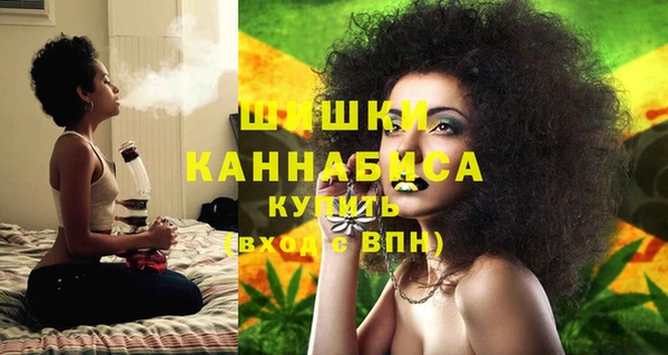 прущие грибы Зеленокумск